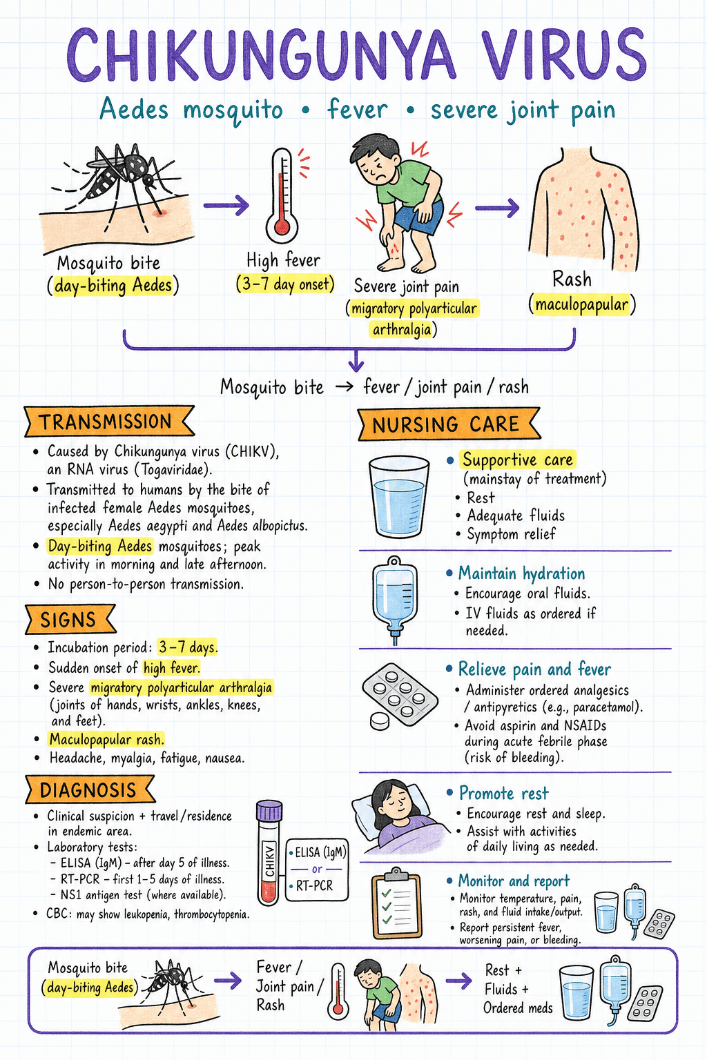 Handwritten infectious disease page for chikungunya virus